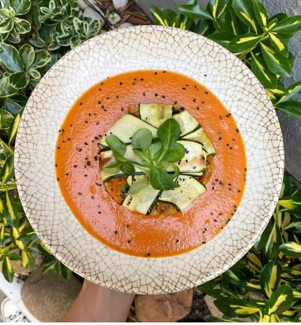 Pastelillo de calabacín rellenado de verduras y salsa de tomate natural